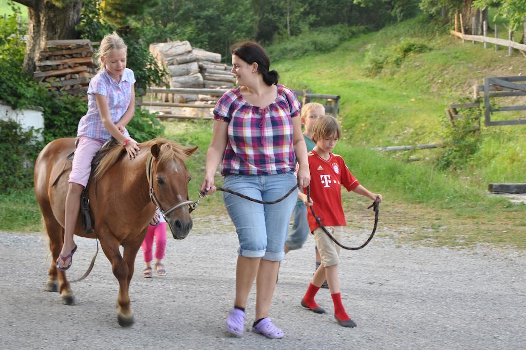 Farm stay Noeglhof