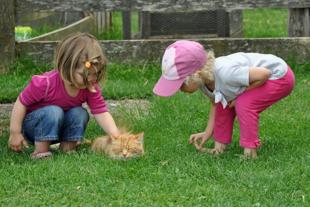 Farm stay Noeglhof