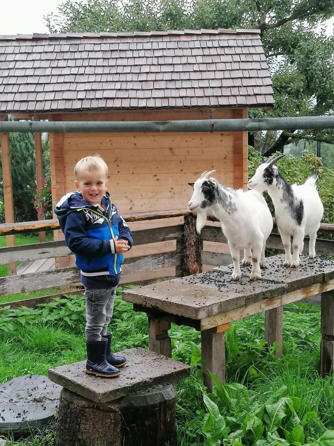 Farm stay Noeglhof *